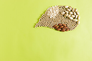 Various plant based milk on green background