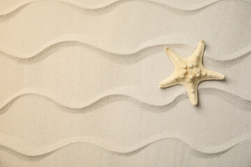 Fototapeta na wymiar Beautiful sea star on sand, top view. Space for text