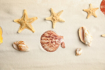 Fototapeta na wymiar Beautiful sea stars and shells on sand, flat lay