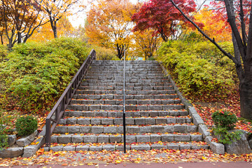 Fototapeta na wymiar fallen leaves on a stairs. with Autumn