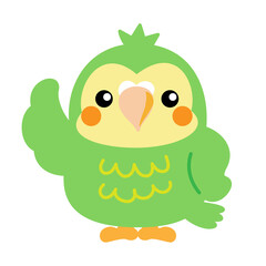 フクロウオウム　カカポ　オウム　鳥　ニュージーランド　イラスト素材
