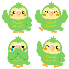 フクロウオウム　カカポ　オウム　鳥　ニュージーランド　イラスト素材