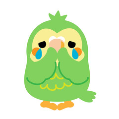 フクロウオウム　カカポ　オウム　鳥　ニュージーランド　イラスト素材