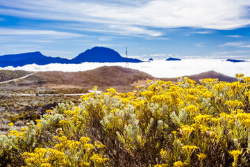 Route du volcan, île de la Réunion 