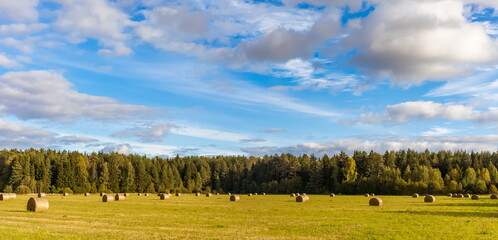 Field with mown grass and hay rolls on the background of the forest and the sky with clouds in...