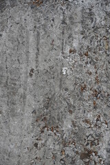concrete wall texture