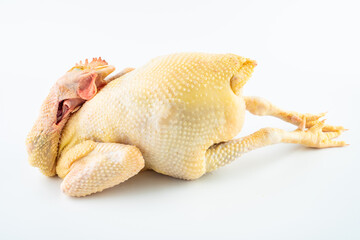 A fresh native chicken on white background