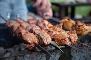 BBQ picnic with kebabs and meat on an open fire on a summer day in the backyard of a private house.