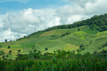 Obraz premium Beautiful natural view of greenery mountain slope in blue cloudy sky. Nature and outdoor parkland photo.