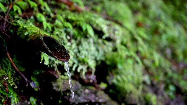 富山県富山市の立山連峰、鍬崎山、大品山、瀬戸蔵山の登山道の湧き水 Spring water on the trails of the Tateyama mountain range, Mt. Kuwasaki, Mt. Oshina, Mt. Setokura, Toyama city, Toyama prefecture.