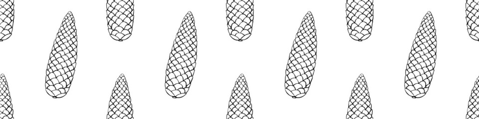 Vector seamless pattern with fir spruce cone in doodle style. Nature forest background and texture, isolated