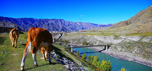 Altai mountain landscape mountains background view panorama