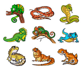 Obraz premium Set with beautiful different cartoon reptiles,snakesand lizards. Collection with reptiles,snakes hand drawn illustration. Design for wallpapers, packaging, postcards and posters. Wild nature.Isolated