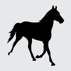 Horse Silhouette, Horse Isolated On White Background