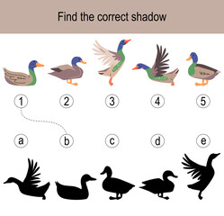 Find the correct shadow puzzle with ducks. Illustration can be used as logic game for children.