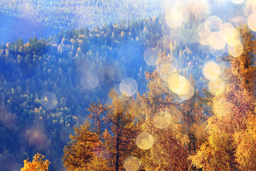 Fototapeta na wymiar abstract landscape background autumn sun glare defocus bokeh, view sun background