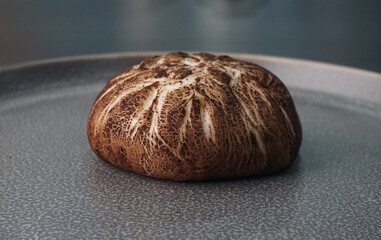 steamed fresh mushroom cheesy bun baozi in mushroom shape on dark grey wood background dim sum...