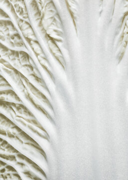 close up macro image of Napa cabbage