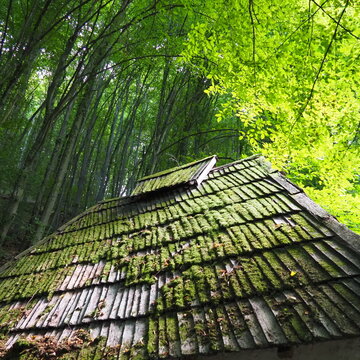 Bright green of mossy tiled roof in rural Serbia. Serbia, Loznica, Trsic, Vuk Karadzic's place of life, Tronos Monastery. Trees over the roof