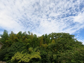 Obraz premium DCIM\100GOPRO\GOPR0032.JPG