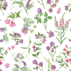 Seamless floral pattern with clover, geranium, mouse pea, comfrey, vetch, thistle, scabiosa flowers. Pink wildflower wallpaper. Botanical meadow summer watercolor illustration isolated on white