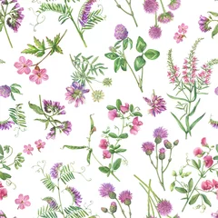 Foto op Aluminium Seamless floral pattern with clover, geranium, mouse pea, comfrey, vetch, thistle, scabiosa flowers. Pink wildflower wallpaper. Botanical meadow summer watercolor illustration isolated on white © arxichtu4ki