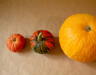 a few pumpkins, a harvest. pumpkins of different sizes.