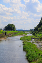 Fototapeta premium landscape with river