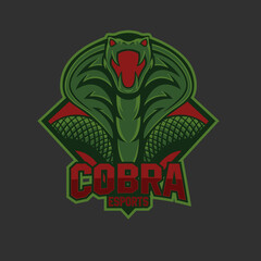 esport logo with a modern cobra mascot, this logo is suitable for use as an esport logo, gaming, steamer or community activities in the wild and adventure