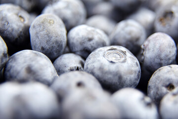 Fresh blueberry as food background