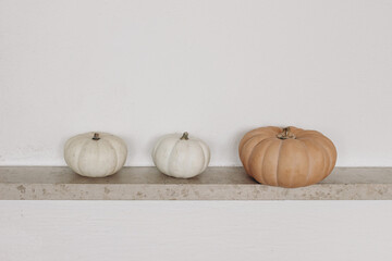 Autumn still life. Orange and white pumpkins on marble shelf. White wall background. Fall,...