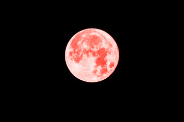 Full Pink Moon in a Black Night Sky