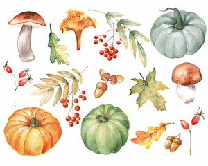 Watercolor fall set with leaves, pumpkins, rowan berries, mushrooms, acorns, isolated on white. Autumn illustration for design, sales, thanksgiving day.
