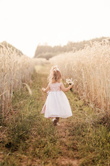 A little girl runs through a wheat field in a white dress. Rear view