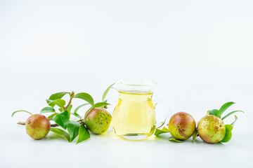 Camellia fruit and tea seed oil on white background