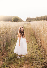 A little cute girl with long hair in the field in the summer. Summer. Harvest concept