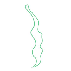seaweed cartoon silhouette of laminaria doodle. shape green plant line vector illustration clip art