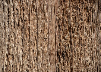Fototapeta premium the brown wood texture with natural patterns