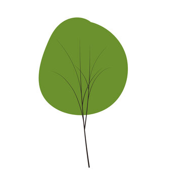 Tree set on doodles vector any season winter, spring, summenr, autumn. flat style