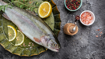 Raw trout with lemon. Healthy eating concept. banner, menu, recipe place for text, top view