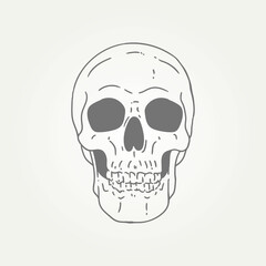 human skull anatomy hand draw line art icon logo template vector illustration design. spooky skull head t-shirt and tattoo illustration design concept