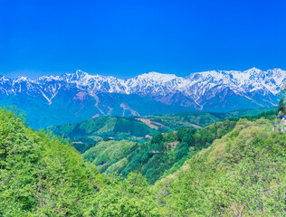 Fototapeta na wymiar 長野県　 白馬村　残雪の北アルプス山脈