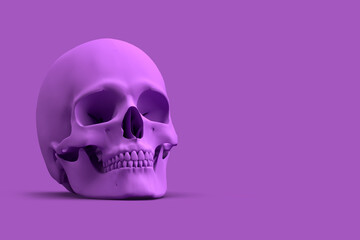 Purple human skull on purple background. 3D illustration