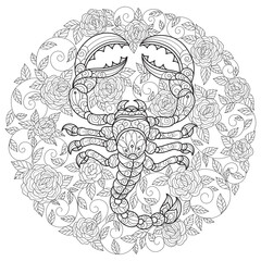 Scorpion and roses. Hand drawn sketch illustration for adult coloring book