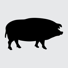 Pig Silhouette, Pig Isolated On White Background
