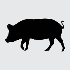 Pig Silhouette, Pig Isolated On White Background