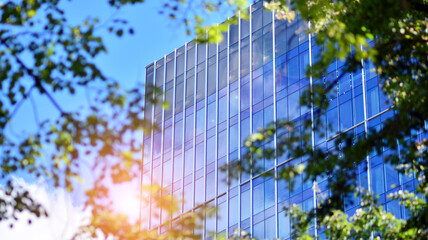 Plakat Eco architecture. Green tree and glass office building. The harmony of nature and modernity. Reflection of modern commercial building on glass with sunlight. 