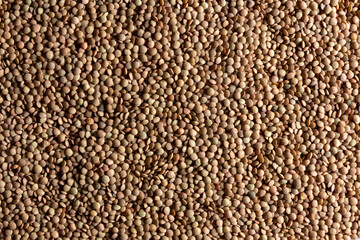 Lentils background. Texture. Selective focus.