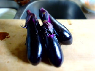 Eggplant