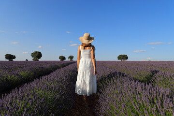Back view of a woman walking through a lavender field